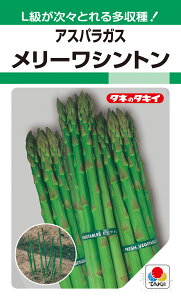 AXpKX  w[Vgx AAS502 ^LCc