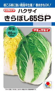 cH~ǂnNTC  wڂ65SPx AHA081 ^LCc