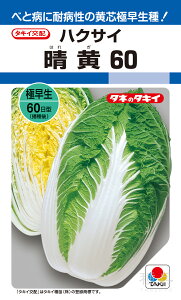 cHǂnNTC  w60x AHA00E ^LCc