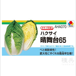 ct`ĂǂnNTC  w65x AHA070 ^LCc
