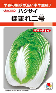~`tǂnNTC  wق܂񍆁x AHA085 ^LCc