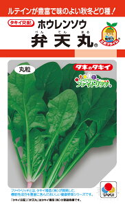 H~ǂzE\E  wٓVہx ASP043 ^LCc