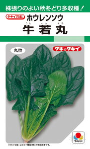 H~ǂzE\E  wہx ASP03Y ^LCc