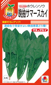 tĂǂzE\E  wӒT}[XJCx ASP05H ^LCc