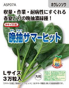 tĂǂzE\E  wӒT}[qbgx ASP07A ^LCc