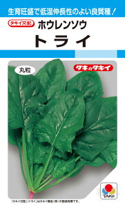 ~ǂzE\E  wgCx ASP004 ^LCc