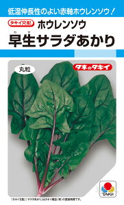 ԎzE\E  wT_x ASP02X ^LCc