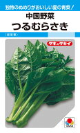 中国野菜 種 『つるむらさき（緑茎種）』 ATY582 タキイ種苗