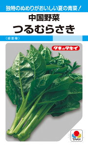   wނ炳iΌsjx ATY582 ^LCc