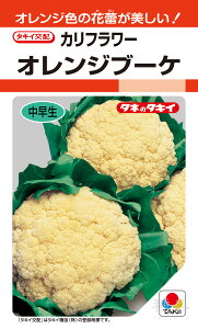 IWJt[  wIWu[PiIWh[jx ASB081 ^LCc