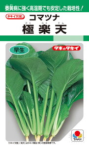 R}ci  wɊyVx ATU028 ^LCc