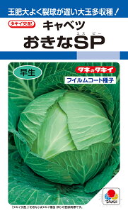 ʌnďHǂ  wSPx ACA0E9 ^LCc