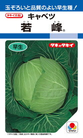 夏秋どりキャベツ 種 『若峰』 ACA010 タキイ種苗