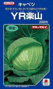 ʌnĂǂLxc  wYRyRx ACA085 ^LCc