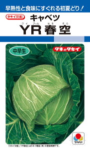 ʌnĂǂLxc  wYRtx ACA009 ^LCc