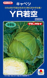 ʌnĂǂLxc  wYRx ACA09G ^LCc