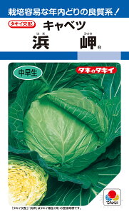 �t�n�y�яt�L���x�c �� �w�l���x ACA03E �^�L�C��c