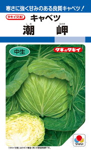 �t�n�y�яt�L���x�c �� �w�����x ACA074 �^�L�C��c