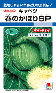 tǂLxc  wt̂قSPx ACA0A9 ^LCc