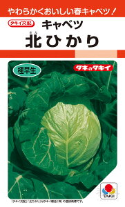 �t�n�y�яt�L���x�c �� �w�k�Ђ���x ACA056 �^�L�C��c