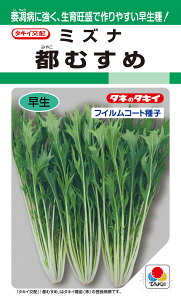 qǂ~Yi  wsނ߁x ATU048 ^LCc