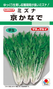 qǂ~Yi  wȂŁx ATU046 ^LCc