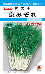 qǂ~Yi  w݂x ATU043 ^LCc