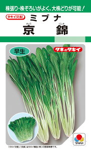 ~ui  wѐp؁x ATU031 ^LCc