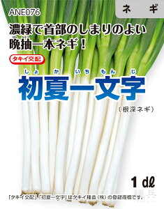 [lM  wĈꕶx ANE076 ^LCc