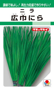 j  wLЂɂx ANN101 ^LCc