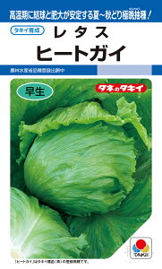 ďHǂ茋^X  wq[gKCx ALE175 ^LCc