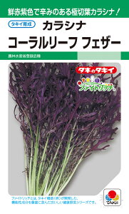 JVi  wR[[tEtFU[x ATK110 ^LCc