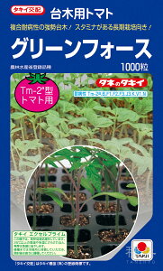 g}g  wO[tH[Xx ATM06X ^LCc