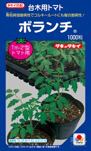 g}g  w{`x ATM094 ^LCc