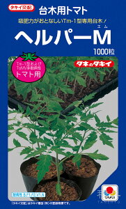 g}g  wwp[Mx ATM051 ^LCc