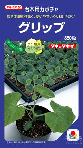 LEAp  wObvx ANK063 ^LCc