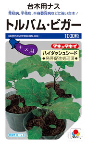 iX  wgoErK[inC_bVV[hjx ANA134 ^LCc