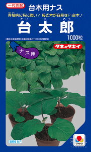 iX  w䑾Yx ANA035 ^LCc