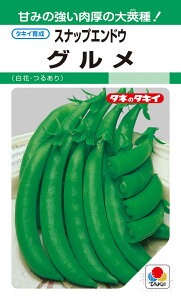スナップエンドウ 種 『グルメ』 AEN552 タキイ種苗