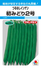 つるなしインゲン 種 『初みどり2号』 ASA122 タキイ種苗