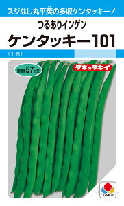 邠CQ  wP^bL[101x ASA156 ^LCc