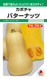 特殊カボチャ 種 『バターナッツ』 ANK531 タキイ種苗