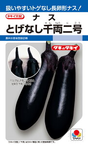 ^iX  wƂȂ痼񍆁x ANA065 ^LCc