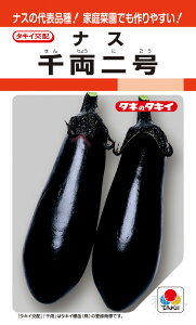 ^iX  w痼񍆁x ANA014 ^LCc