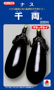 ^iX  w痼x ANA013 ^LCc