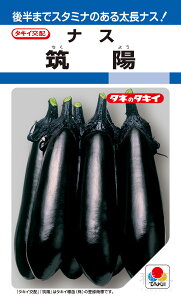 iX  w}zx ANA024 ^LCc