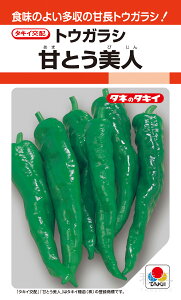 gEKViÒj  wÂƂlx APE041 ^LCc