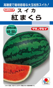 ʖ`XCJ  wg܂x ASU026 ^LCc