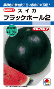 ʍXCJ  wubN{[2x ASU049 ^LCc