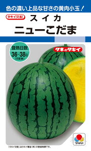 ʉXCJ  wj[܁x ASU002 ^LCc